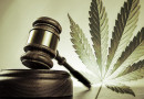 Marijuana Legalization Initiative In Massachusetts Poised For 2016 Ballot