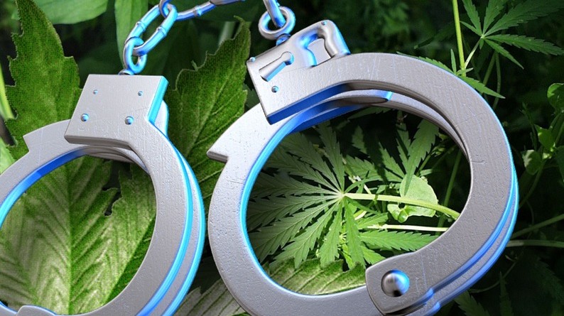 In 2014, Someone was Arrested for Marijuana Every 45 Seconds