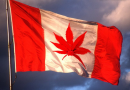 Canada Will Legalize Recreational Marijuana Use