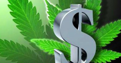MSN Money Can't Deny the Benefits of Marijuana