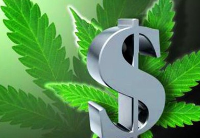 MSN Money Can't Deny the Benefits of Marijuana