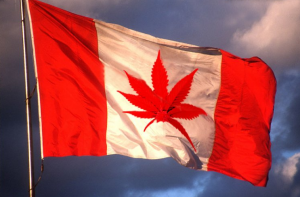 Canada Will Legalize the Recreational Use of Marijuana