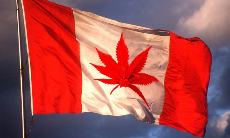 Canada Will Legalize Marijuana